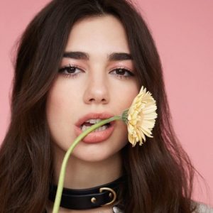DUA LIPA STEMS PACK