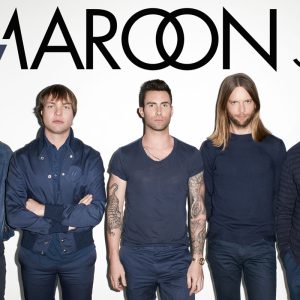 MAROON 5 STEMS PACK